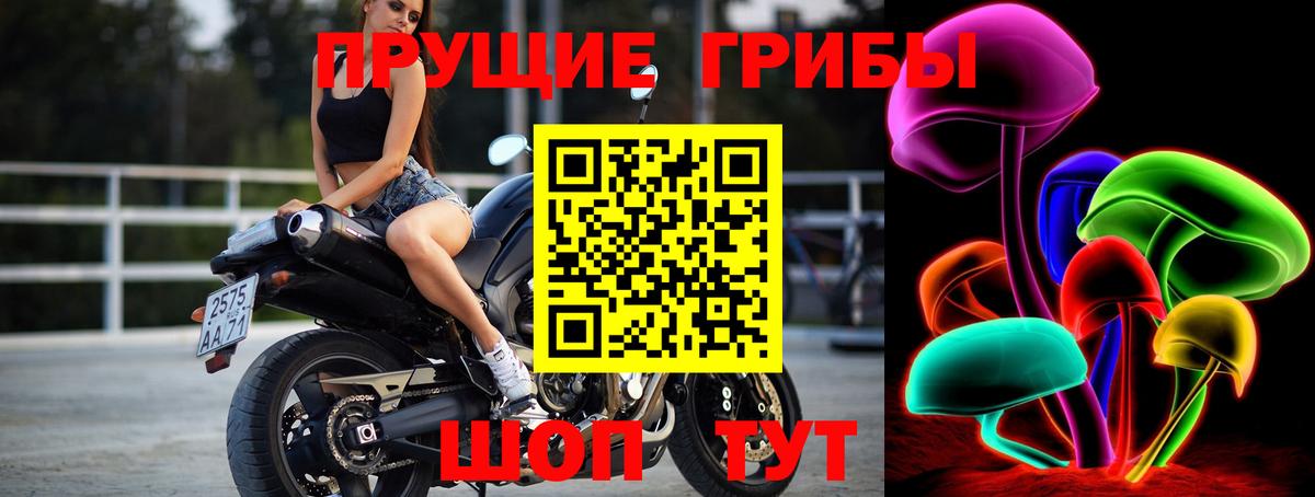 Галлюциногенные грибы прущие грибы Новоалександровск