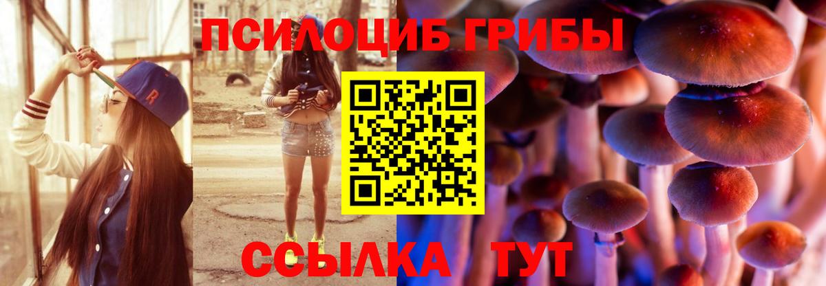 Псилоцибиновые грибы прущие грибы  Вход с VPN  Галлюциногенные грибы прущие грибы  Новоалександровск 