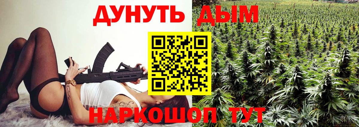 Каннабис планчик Новоалександровск